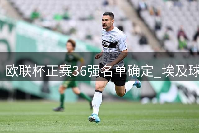 欧联杯正赛36强名单确定 埃及球星萨拉赫提前告别